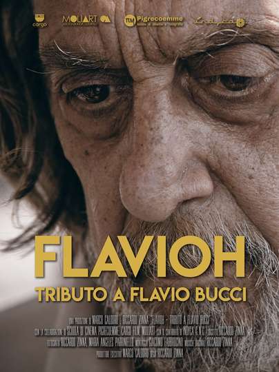 Flavioh  Tributo a Flavio Bucci Poster