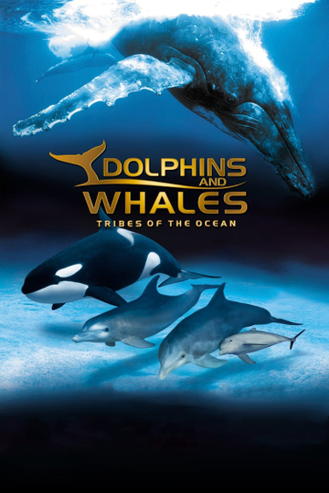 IMAX Dolphins and Whales: Tribes of the Ocean Poster