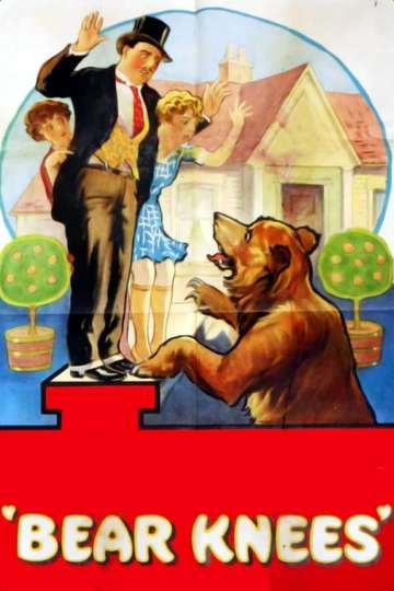 Bear Knees Poster