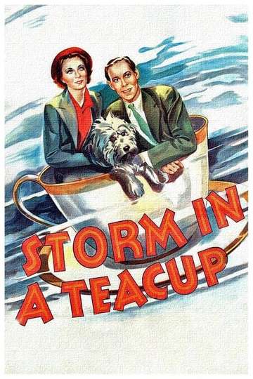 Storm in a Teacup Poster