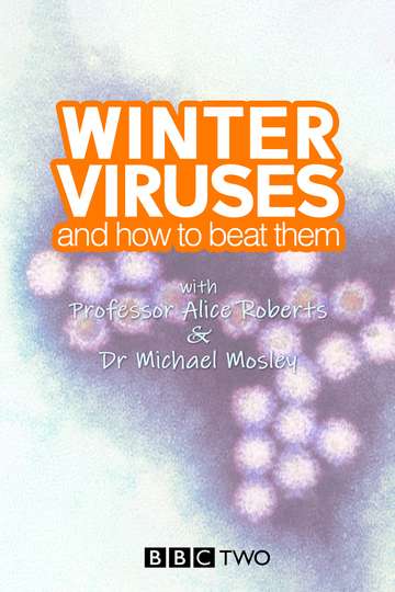 Winter Viruses and How to Beat Them Poster