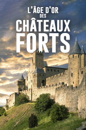 LÂge dor des châteaux forts