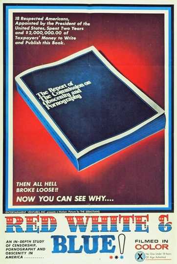 Red, White and Blue Poster