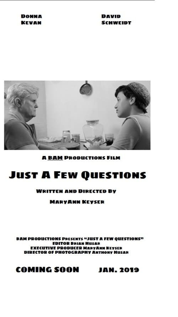 Just a Few Questions Poster