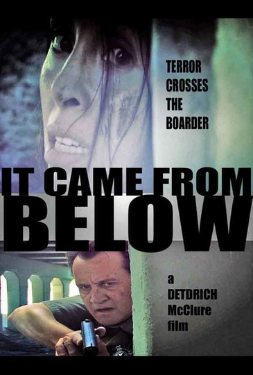 It Came from Below Poster