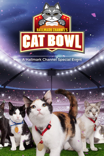 Hallmark Channels 1st Annual Cat Bowl