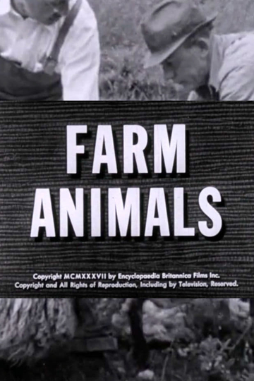 Farm Animals