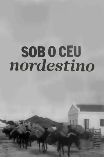 Sob o Céu Nordestino