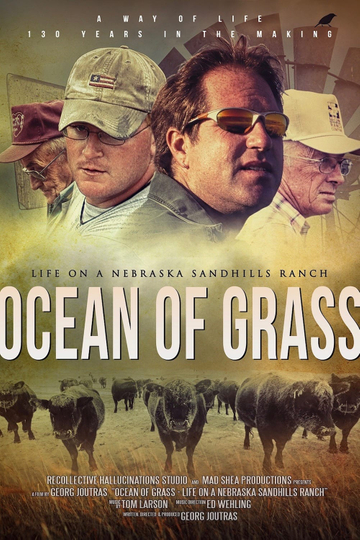 Ocean of Grass Life on a Nebraska Sandhills Ranch