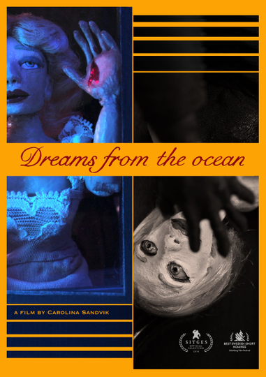 Dreams from the ocean