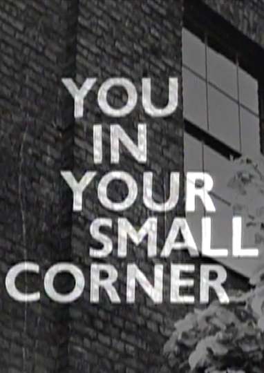 You in Your Small Corner Poster