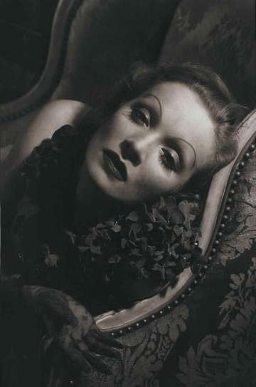Marlene Dietrich Shadows and Light
