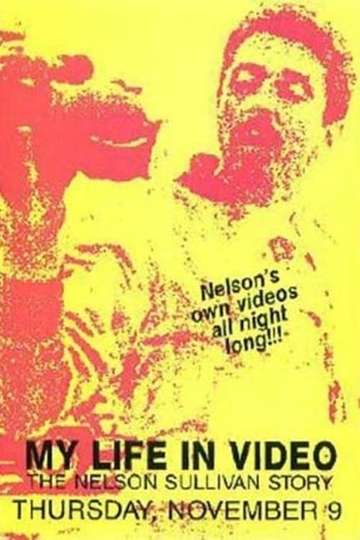 Nelson Sullivans Video Diaries Poster