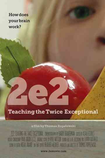 2e2 Teaching the Twice Exceptional