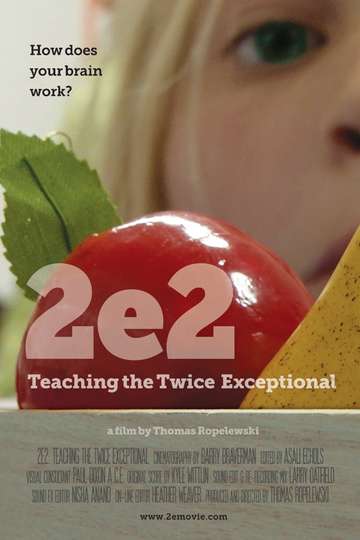 2e2 Teaching the Twice Exceptional