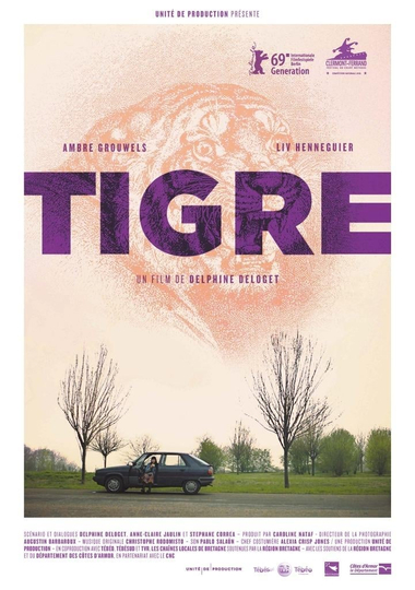 Tiger Poster