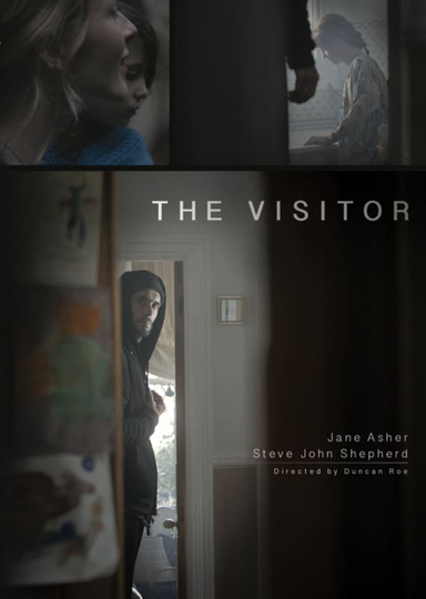 The Visitor