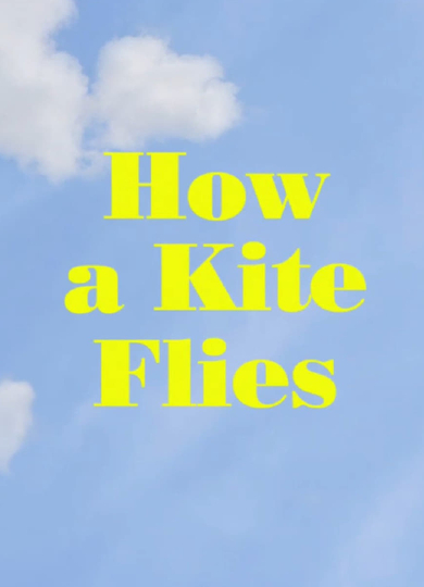 How a Kite Flies Poster