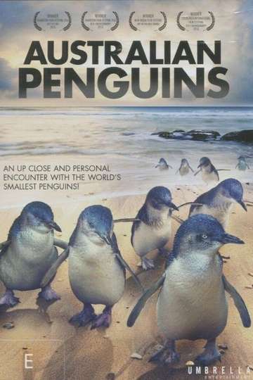 Australian Penguins Poster