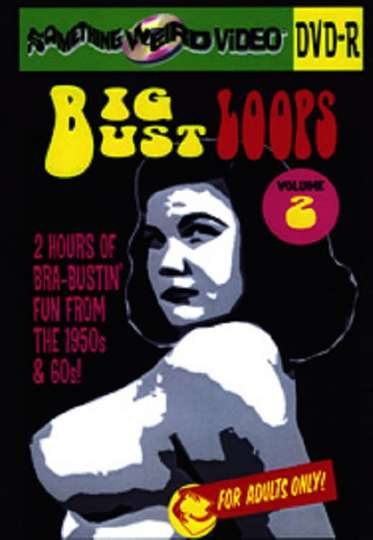 Big Bust Loops Volume 2 Poster