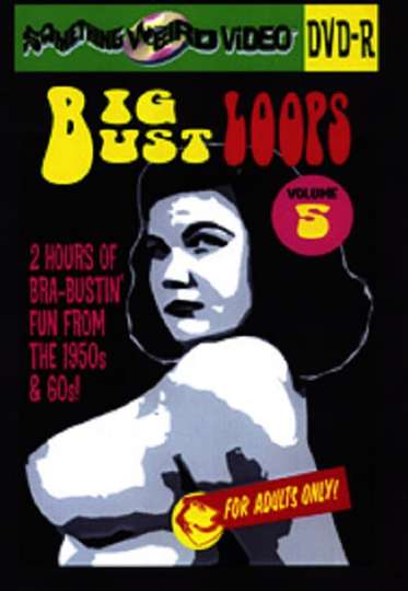 Big Bust Loops Volume 5 Poster