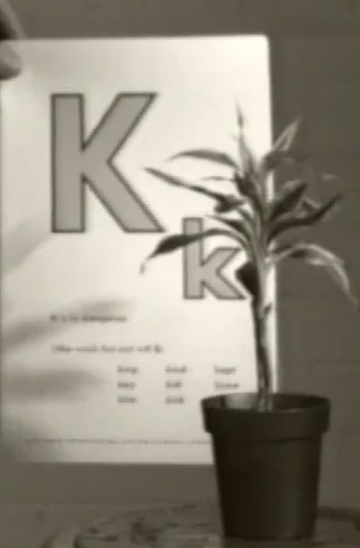 Teaching a Plant the Alphabet