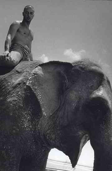 Desequilíbrio Poster