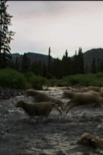 Hell Roaring Creek