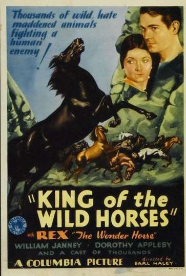 King of the Wild Horses Poster