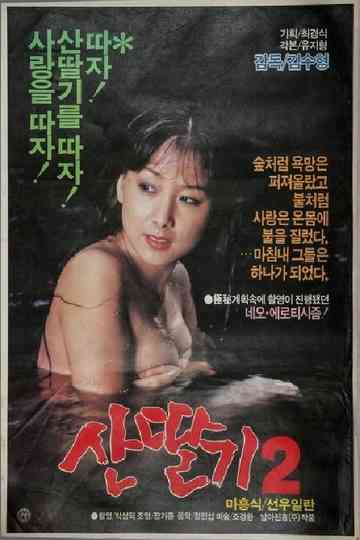 Mountain Strawberries 2 Poster