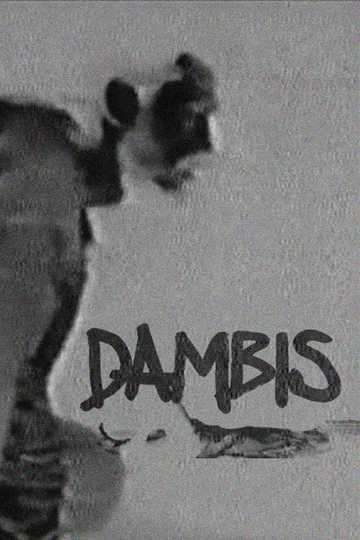 Dambis