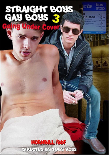 Straight Boys, Gay Boys 3: Going Under Cover Poster