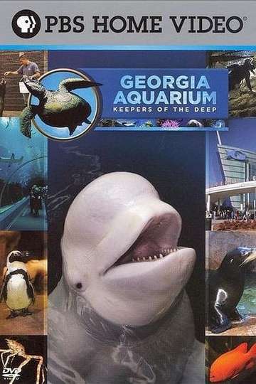 Georgia Aquarium  Keepers of the Deep