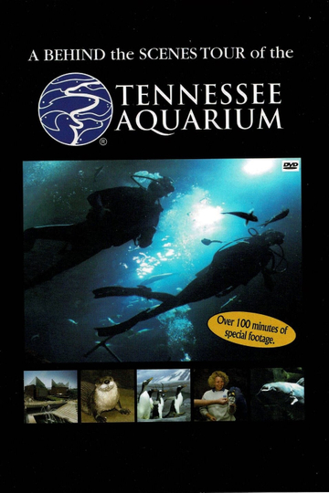 Tennessee Aquarium