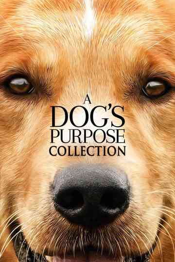 A Dog's Purpose Collection Poster