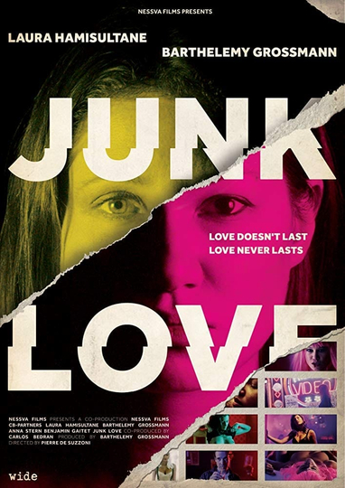 Junk Love Poster