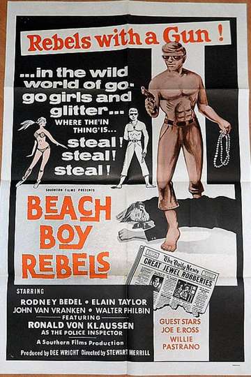 Beach Boy Rebels Poster