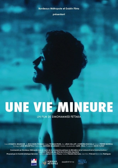 Une vie mineure