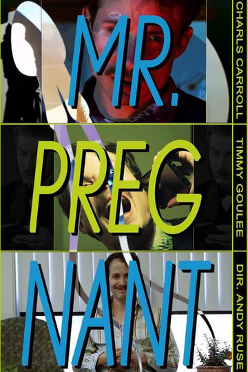 Mr. Pregnant Poster