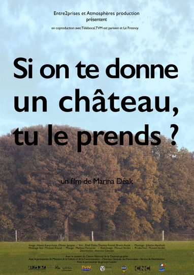 Si on te donne un château tu le prends Poster