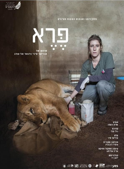 Wild Life Death and Love in a Wildlife Hospital Poster