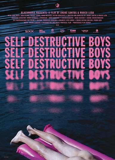 Self Destructive Boys Poster