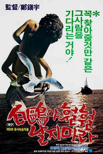 A White Feathered Gull Poster