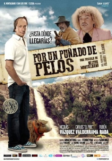 Por un puñado de pelos Poster