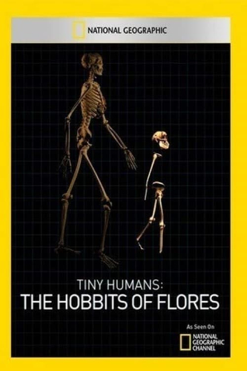 Tiny Humans The Hobbit of Flores