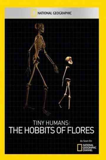 Tiny Humans The Hobbit of Flores