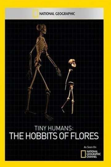 Tiny Humans The Hobbit of Flores