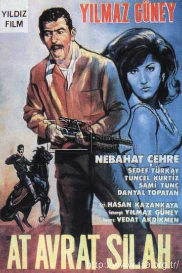 Horse, Woman and Gun Poster