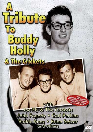 A Tribute To Buddy Holly And The Crickets Poster