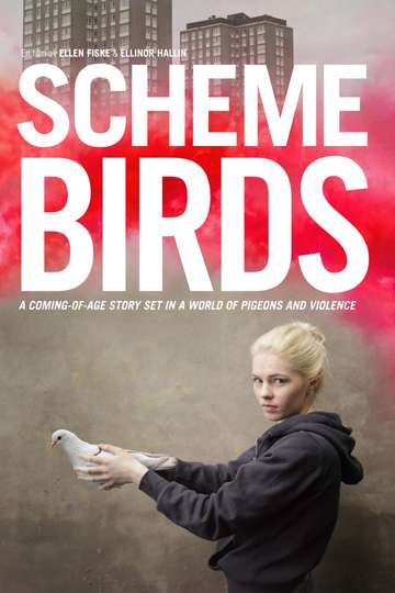 Scheme Birds